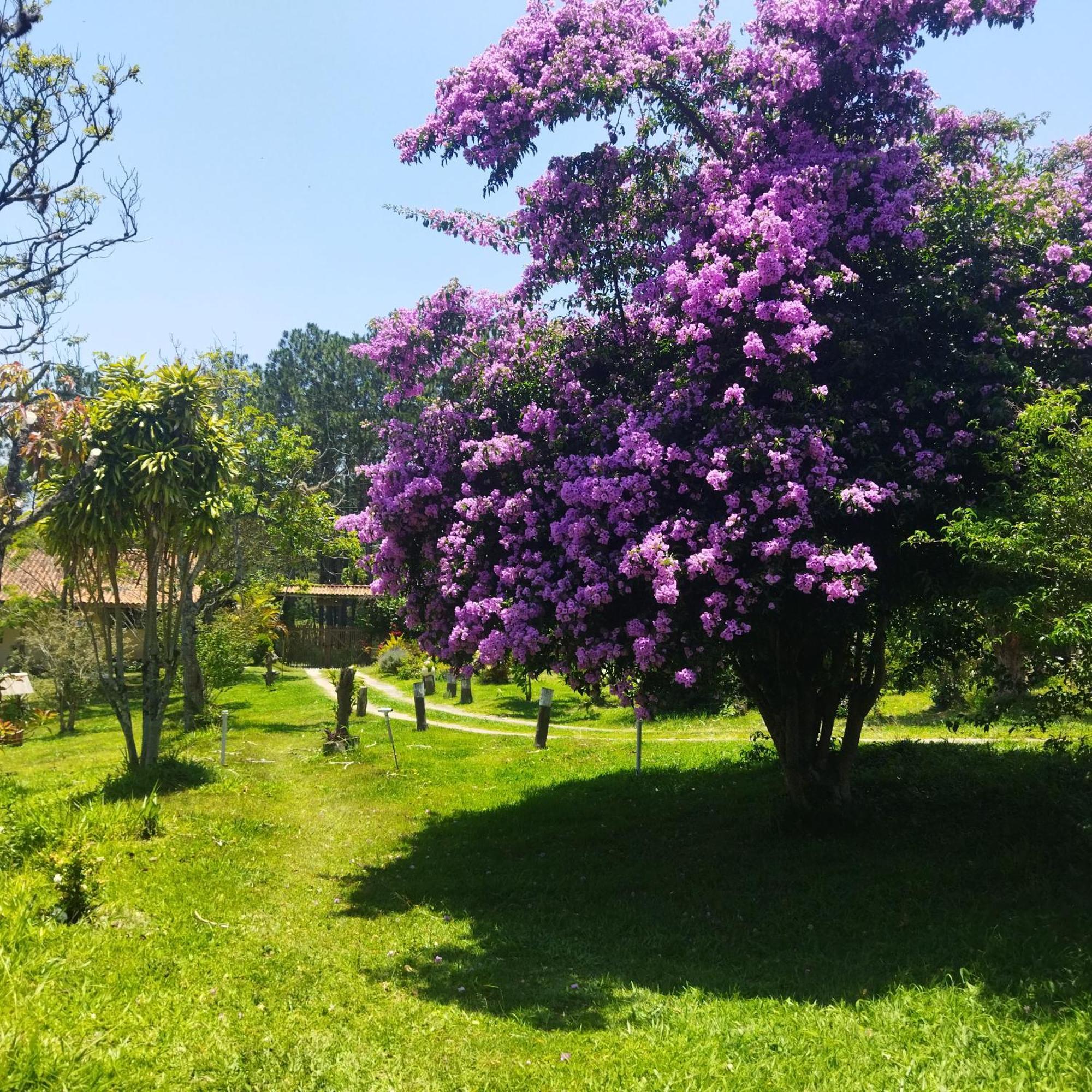 Villa Chacara Aquila à São Roque Extérieur photo